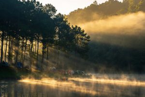 Best places to view the sea of mist in Thailand: Golden morning at Pang Oung in Mae Hongson
