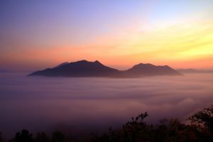 Best places to view the sea of mist in Thailand: Misty morning on Phu Thok in Loei