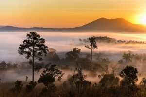 Best places to view the sea of mist in Thailand: Savannah, sea of mist and sunrise seen from Sala Dusita at Thung Salaeng Luang National Park in Phetchabun