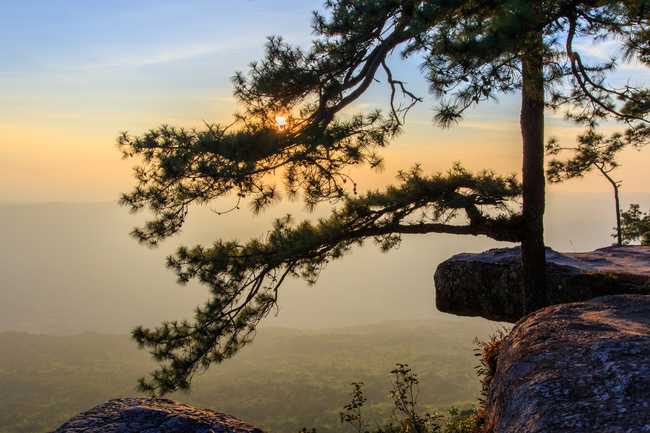 Best places to view the sea of mist in Thailand: The cliff is one of the best photo spot on Phu Kradueng in Loei