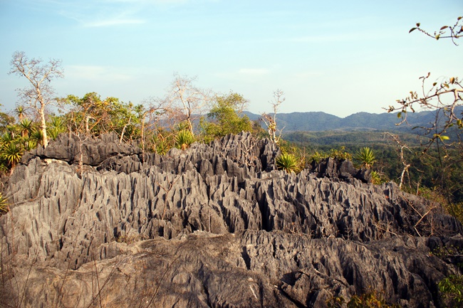 Things to do in Phrae, Thailand: The Coral Mountain at Doi Pha Klong National Park
