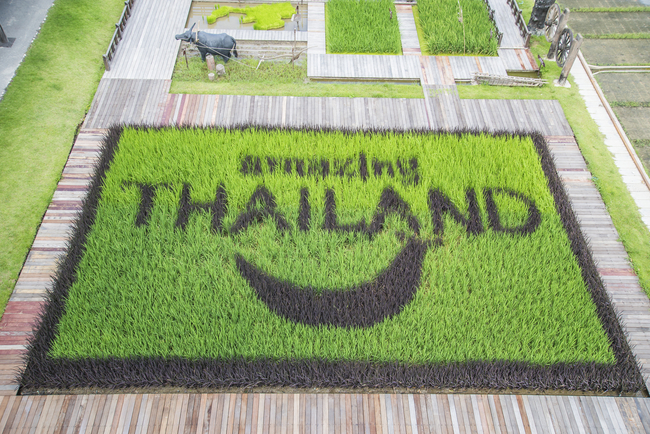 Things to do in Suphan Buri, Thailand: And local ways of life are what makes Thailand amazing!