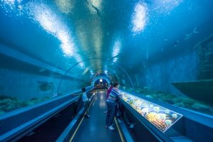 Things to do in Suphan Buri, Thailand: Underwater tunnel at Bueng Chawak