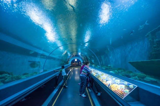 Things to do in Suphan Buri, Thailand: Underwater tunnel at Bueng Chawak