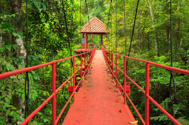 Things to do in Trang, Thailand: Treetop walk at Thung Khai, both relaxing and thrilling...