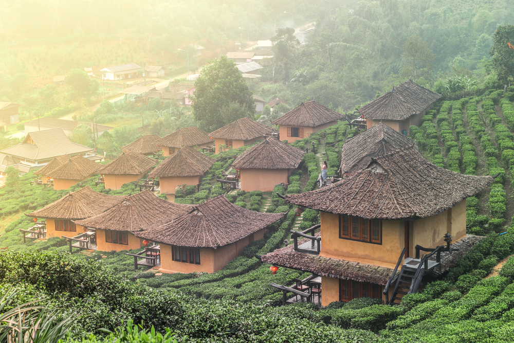 Top tea plantations in Thailand: Ban Rak Thai is a very unique tea plantation indeed