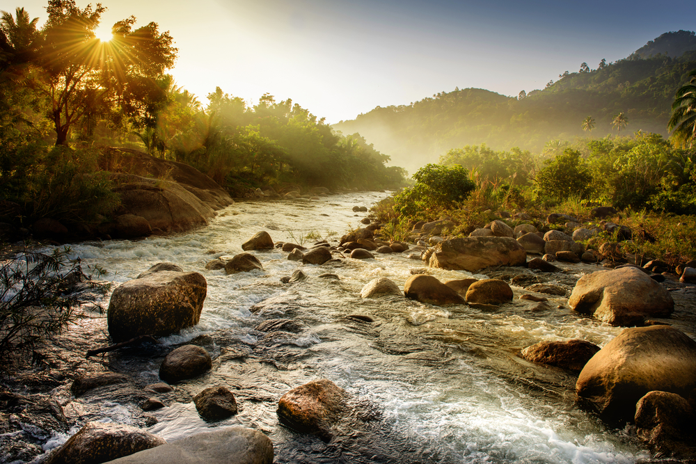 Things to do in Nakhon Si Thammarat, Thailand: Life is more than nice at Kiriwong Village