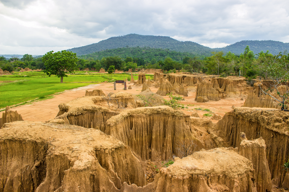 Things to do in Sa Kaeo, Thailand: Red and brown meet green at Lalu