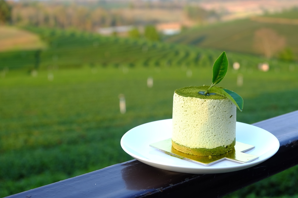 Things to do in Chiang Rai, Thailand: TEAramisu with a view at Choui Fong Tea Plantation
